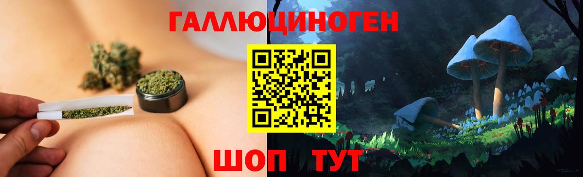 Псилоцибиновые грибы MAGIC MUSHROOMS  Вход с VPN  Муравленко 